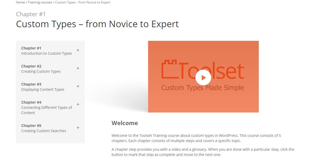 Increase your rates in one day with Toolset’s custom types training course