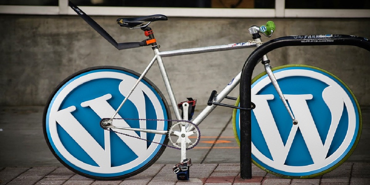 WordPress Hosting – How To Pick The Cost Effective Option?