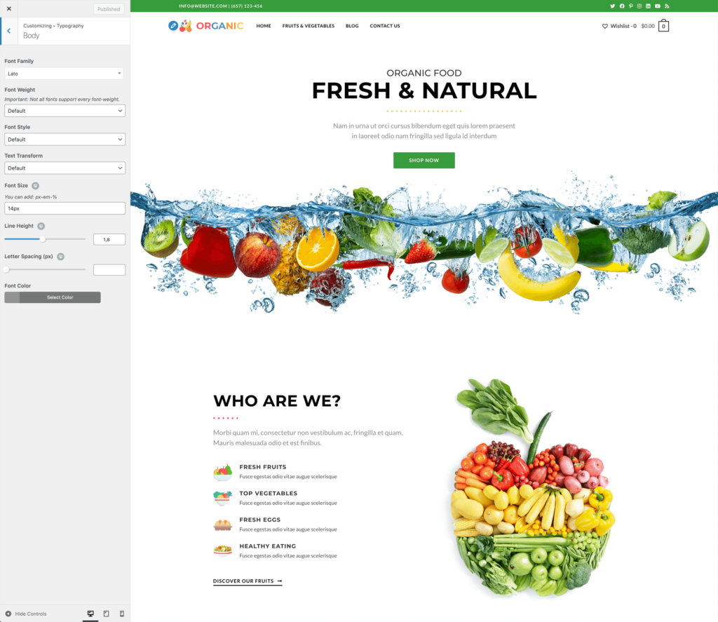 screenshot of the WordPress Customizer for the OceanWP WordPress theme, depicting the usage of JavaScript