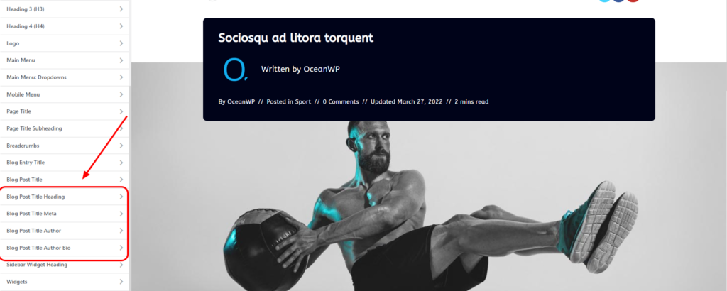 OceanWP Update: preview of the new typography settings for new Post Title Styles