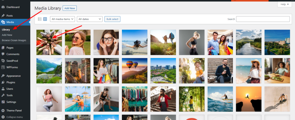 OceanWP Update: preview of the new Direct Image Import and where to locate imported image files