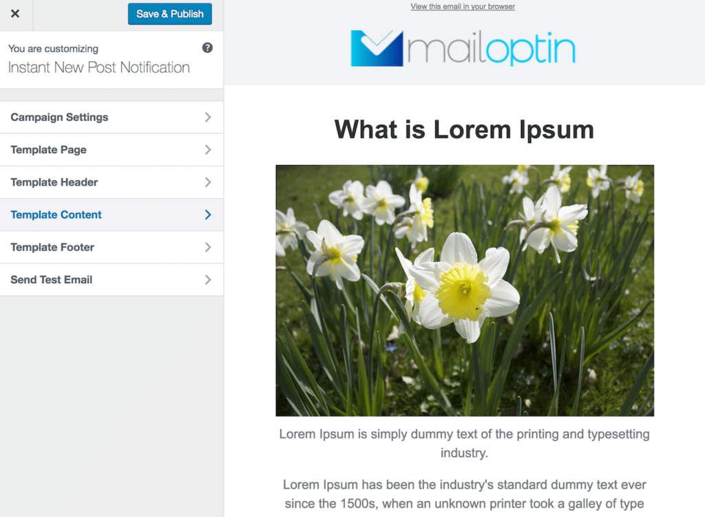 New post notification newsletter