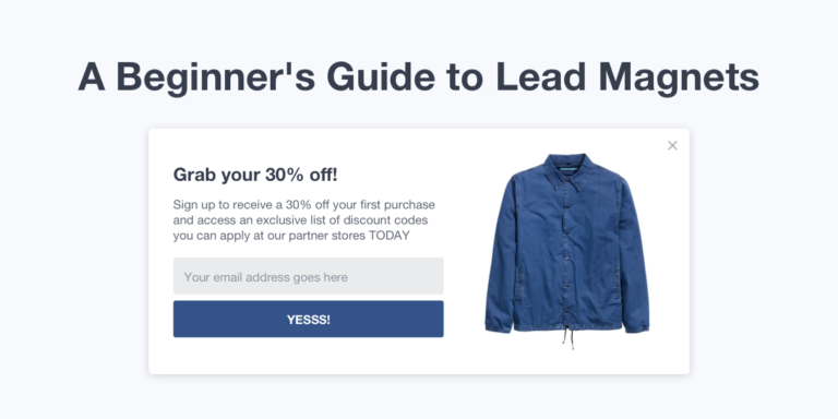 Read more about the article How to Generate More Email Subscriptions With the Same Traffic Volume (A beginner’s Guide to Lead Magnets)