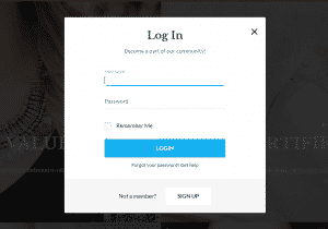 Login Form